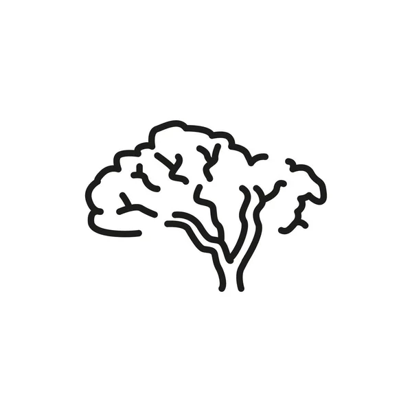 Velvet Amur Tree Color Line Icon Pictogram Web Page Mobile — ストックベクタ
