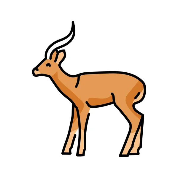 Illustration Couleur Gazelle Animaux Afrique — Image vectorielle