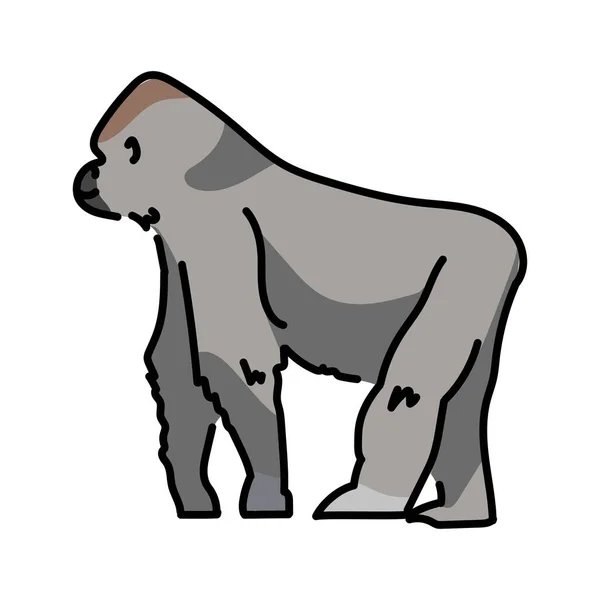 Ilustración Línea Color Gorila Animales África — Archivo Imágenes Vectoriales
