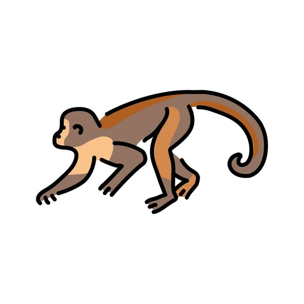 Ilustração Linha Cor Macaco Animais África —  Vetores de Stock