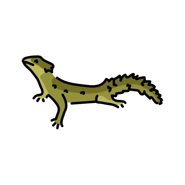 Lizard Kleur Lijn Illustratie Dieren Van Afrika — Stockvector
