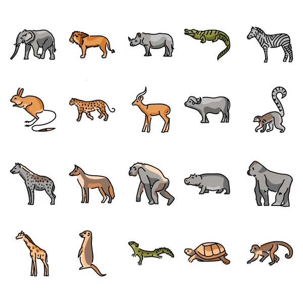 Afrykańskie Zwierzęta Kolor Linii Ikon Zestaw Piktogramy Stronę Internetową Aplikacja — Wektor stockowy