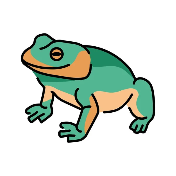 Tailless Βάτραχος Έγχρωμη Γραμμή Εικονογράφηση Ζώα Της Αυστραλίας — Διανυσματικό Αρχείο