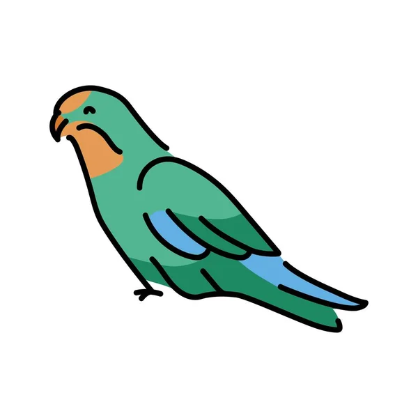 Australijska Linia Kolorów Papugi Ilustracji Zwierzęta Australii — Wektor stockowy