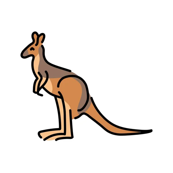 袋鼠彩色线图解 澳大利亚的动物 — 图库矢量图片