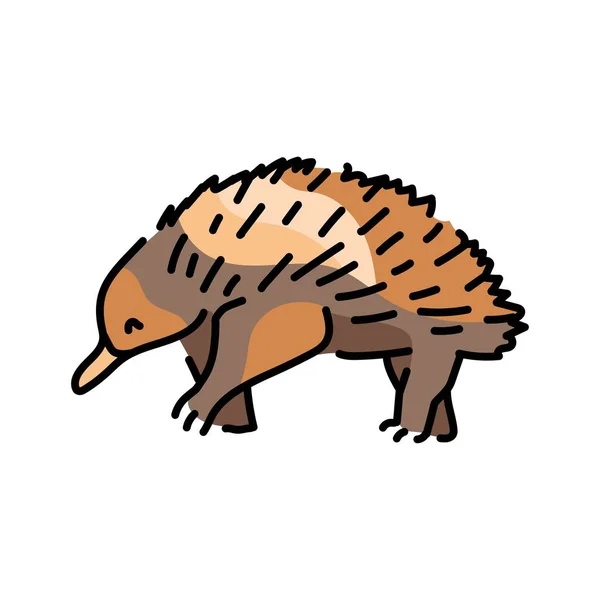 Australská Echidna Barevná Linie Ilustrace Australská Zvířata — Stockový vektor