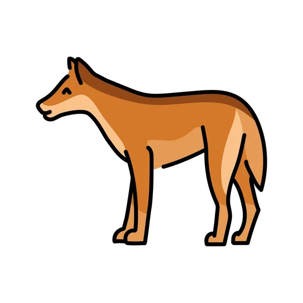 Dingo Perro Línea Color Ilustración Animales Australia — Vector de stock