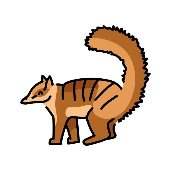 Marsupial Anteater Color Line Illustration Animals Australia — Stock Vector