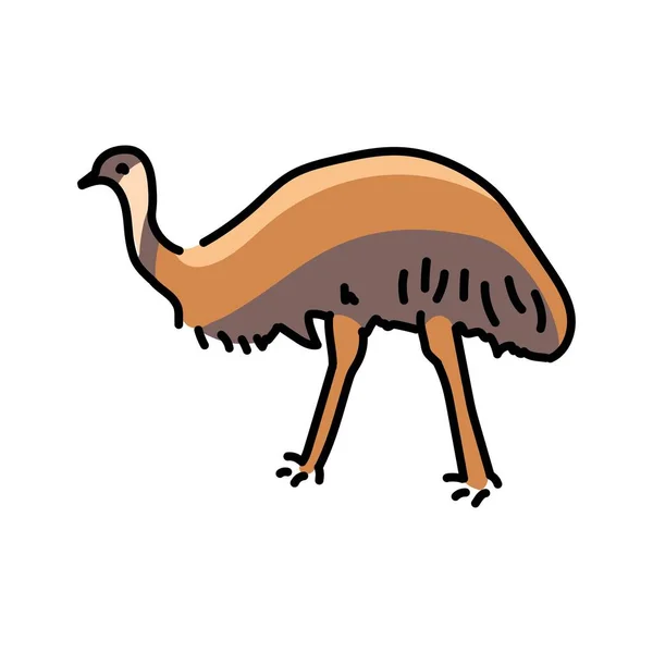 Αυστραλιανή Εικόνα Γραμμή Χρώματος Στρουθοκαμήλου Emu Ζώα Της Αυστραλίας — Διανυσματικό Αρχείο
