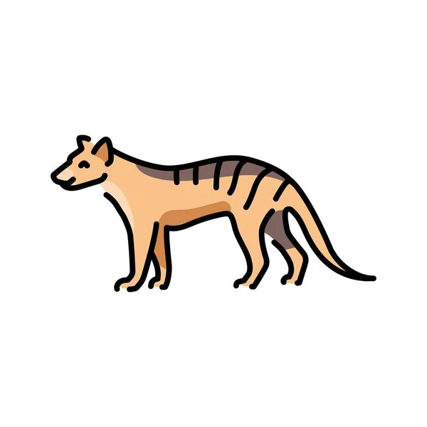 Marsupial Varg Färg Linje Illustration Djur Från Australien — Stock vektor