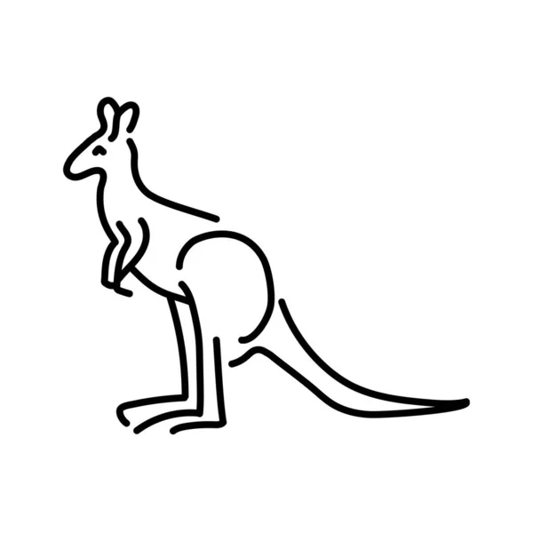 Kanguru Renk Çizgisi Çizimi Avustralya Hayvanları — Stok Vektör