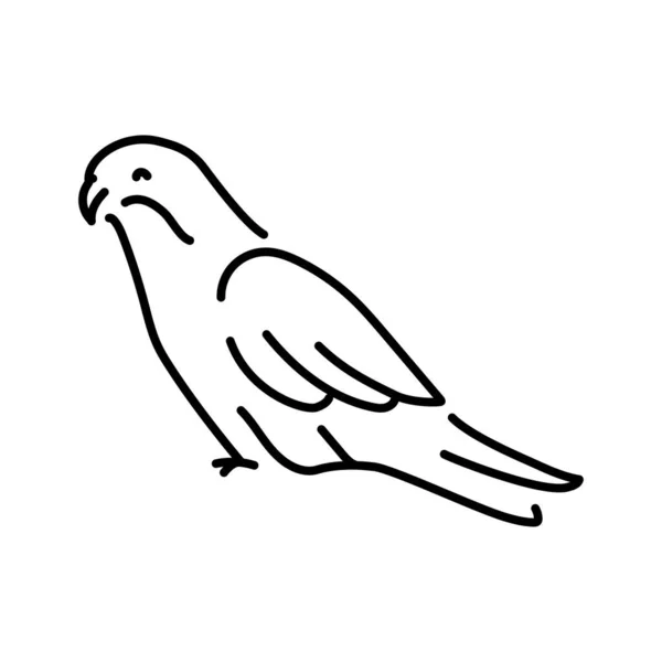 澳大利亚鹦鹉色线条图解 澳大利亚的动物 — 图库矢量图片
