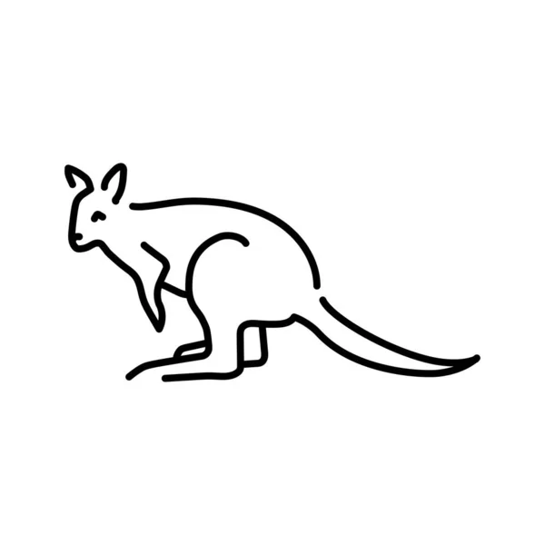 Wallabies Ilustración Línea Color Animales Australia — Vector de stock