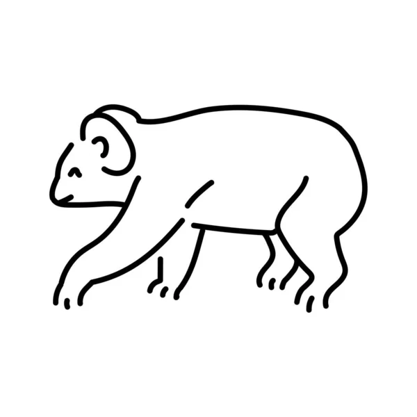 Иллюстрация Цветовой Линии Коалы Животные Австралии — стоковый вектор