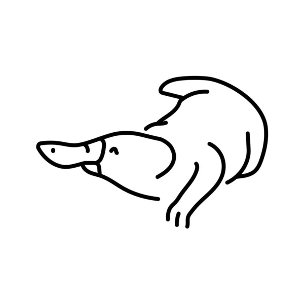 Australská Barevná Linie Platypus Ilustrace Australská Zvířata — Stockový vektor