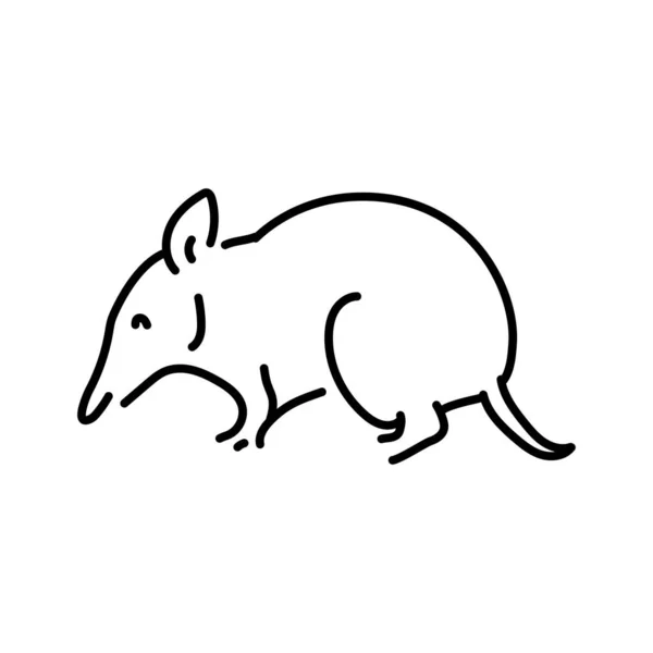 Australian Bandicoot Color Line Illustration Animals Australia — Stock Vector