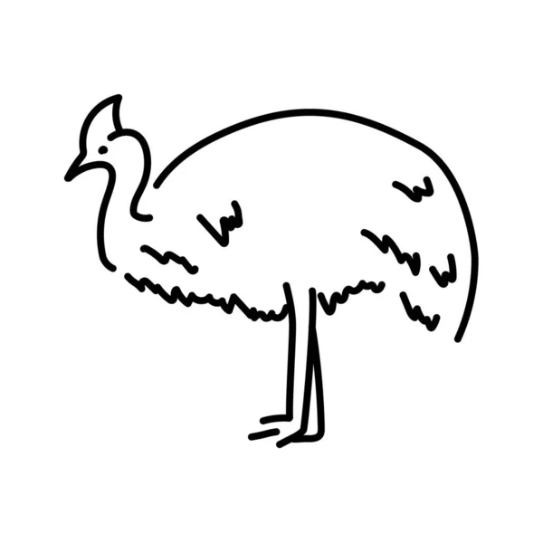 Australijskie Cassowary Kolor Linii Ilustracji Zwierzęta Australii — Wektor stockowy
