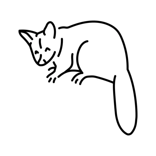 Australijska Linia Kolorów Kuzu Ilustracji Zwierzęta Australii — Wektor stockowy