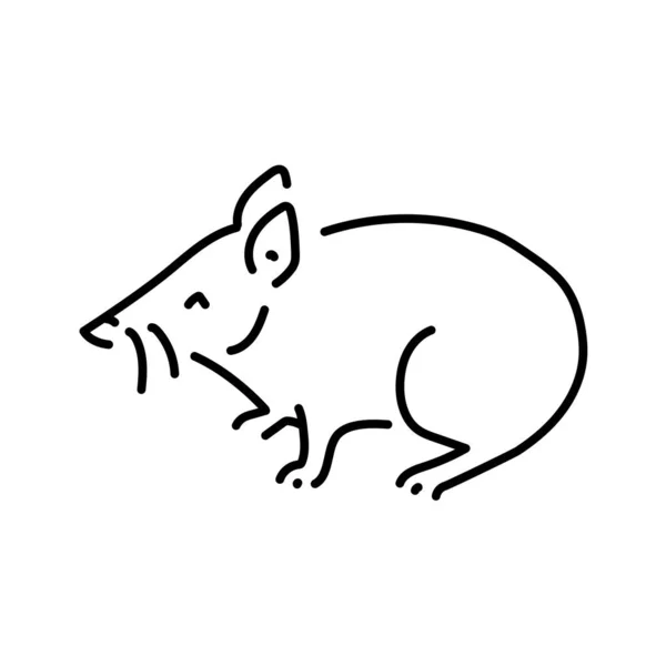 Proboscis Couscous Cor Linha Ilustração Animais Austrália —  Vetores de Stock