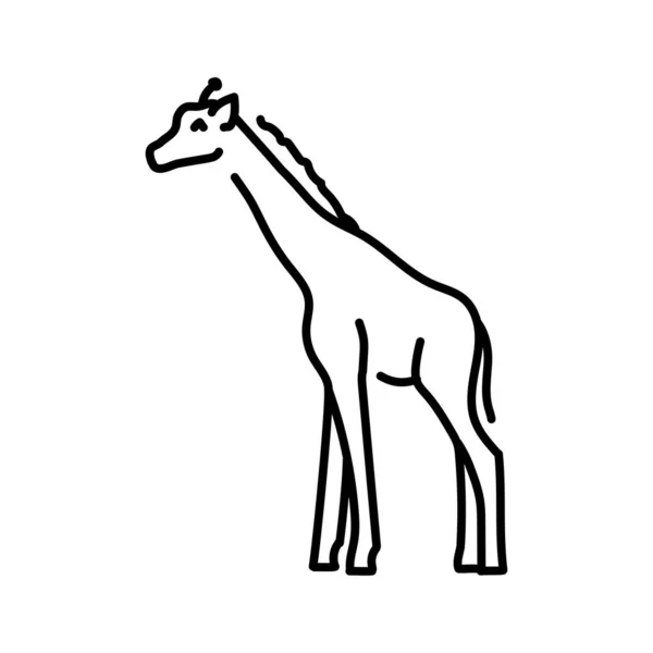 キリンカラーラインイラスト アフリカの動物 — ストックベクタ