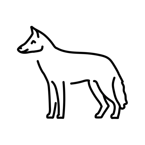 Jackal Color Line Illustration Animals Africa — Stock Vector