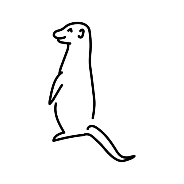 Meerkat彩色线条插图 非洲动物 — 图库矢量图片