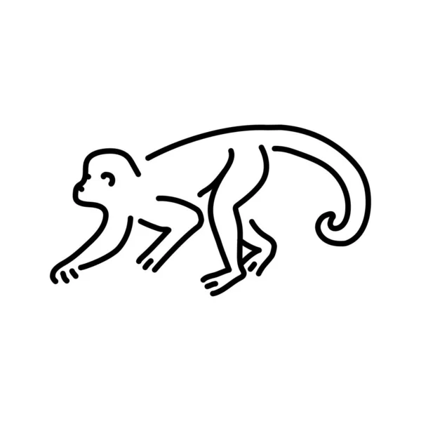 Maymun Rengi Çizimi Afrika Hayvanları — Stok Vektör