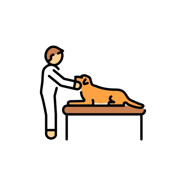 Medical Examination Pet Color Line Icon Dog Training — Archivo Imágenes Vectoriales