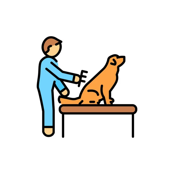 Pet Grooming Color Line Icon Dog Training — Stockvektor