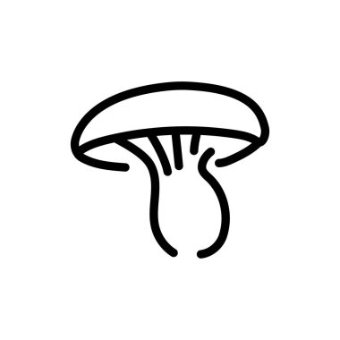 Boletus mushroom color line icon. Cooking ingredient. 