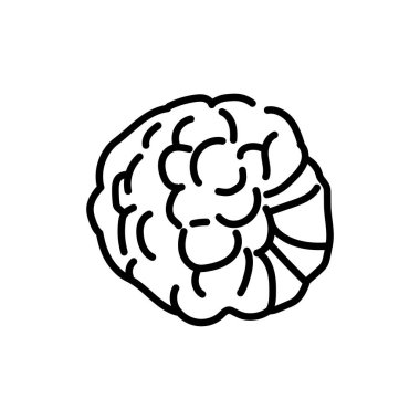 Blackberry color line icon. Organic detox food.