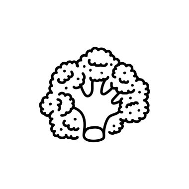Broccoli color line icon. Healthy food. 