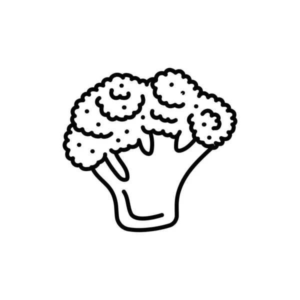 Broccoli Color Line Icon Healthy Food — Stockový vektor
