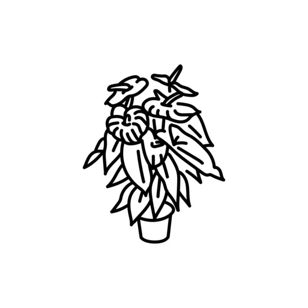 Anthurium Zimmerpflanze Schwarze Linie Symbol Dekorative Zimmerpflanze — Stockvektor