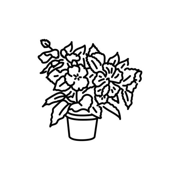 Символ Чёрной Полосы Гибискуса Внутреннее Декоративное Растение — стоковый вектор