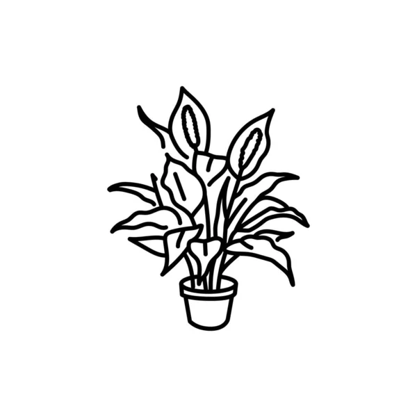 Spathiphyllum Zimmerpflanze Schwarze Linie Symbol Dekorative Zimmerpflanze — Stockvektor
