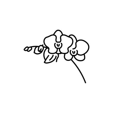 Orhid çiçek siyah çizgisi 