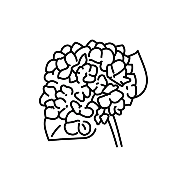 Hortensia Hydrangea Blommor Svart Linje — Stock vektor