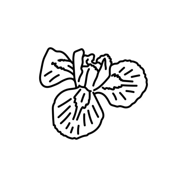 Iris Fleur Ligne Noire — Image vectorielle