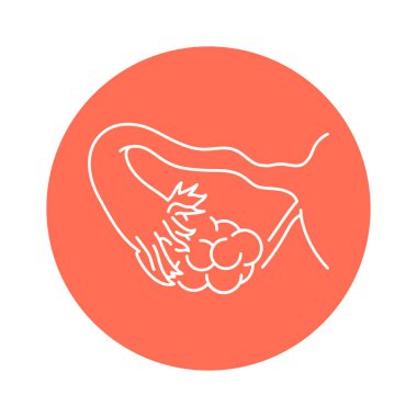 Polycystic color line icon. Gynecology problem