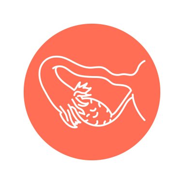 Yumurtalık rengi ikonu. Endokrin sistemi