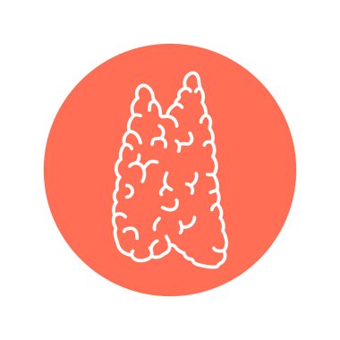 Thymus renk çizgisi simgesi. Endokrin sistemi