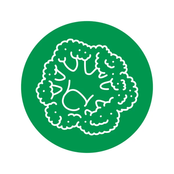 Broccoli Color Line Icon Healthy Food — Vetor de Stock