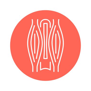 Şişmiş kas rengi çizgisi ikonu. Web sayfası için resim grafiği