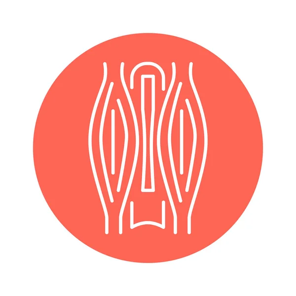 Schwellende Muskeln Farbe Linie Symbol Piktogramm Für Webseite — Stockvektor
