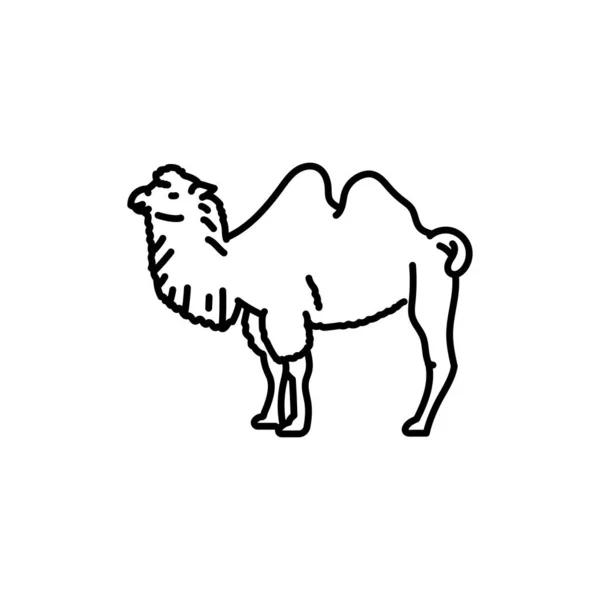 Ikona Czarnej Linii Wielbłąda Zwierzęta Gospodarskie — Wektor stockowy