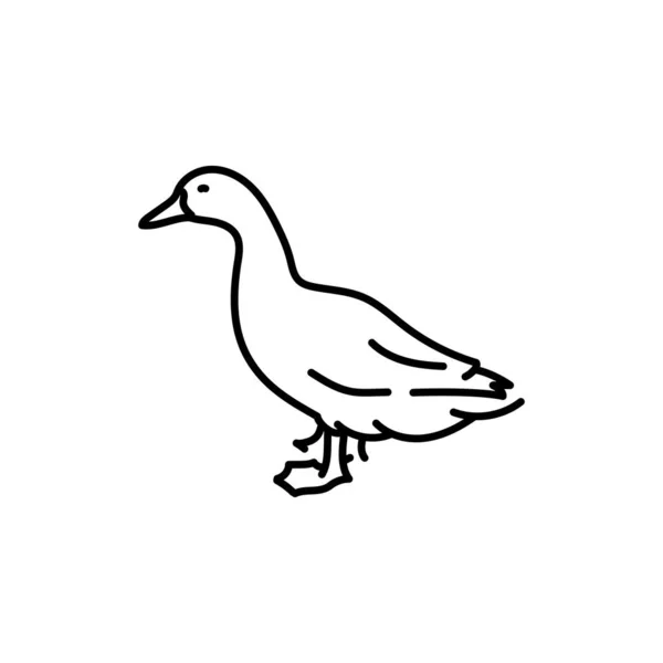 Ente Schwarze Linie Symbol Nutztiere — Stockvektor