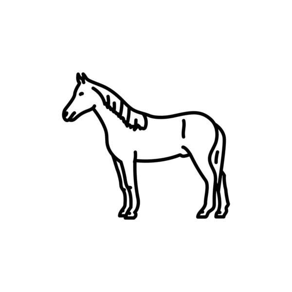 Pferd Schwarze Linie Symbol Nutztiere — Stockvektor