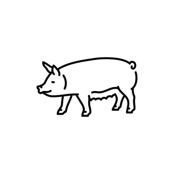 Ícone Linha Preta Porco Animais Exploração —  Vetores de Stock