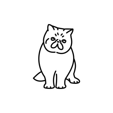 Egzotik kısa kedi siyah çizgi ikonu. Çiftlik hayvanları.